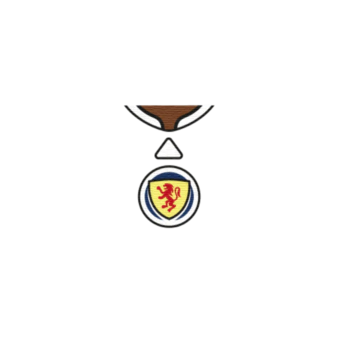 2026 Scotland Football Shirt - Personalised Minifigure Torso - Image 6