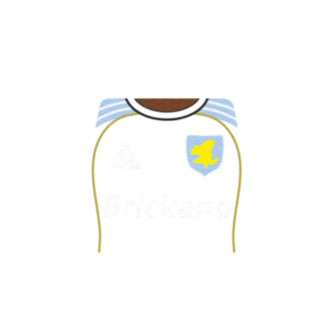Personalised Aston Villa Shirt - Custom Design Minifigure Torso - Image 7