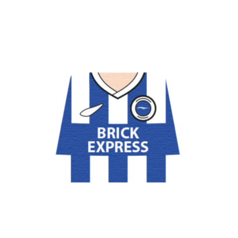 Personalised Brighton Shirt - Custom Design Minifigure Torso - Image 4
