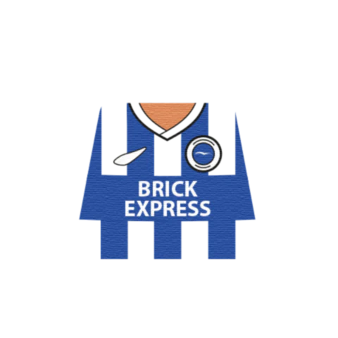 Personalised Brighton Shirt - Custom Design Minifigure Torso - Image 5