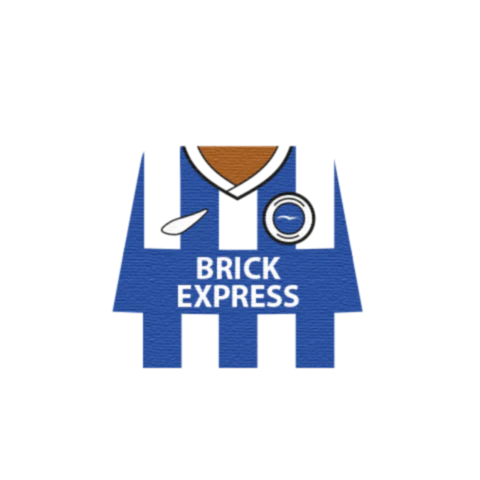 Personalised Brighton Shirt - Custom Design Minifigure Torso - Image 6