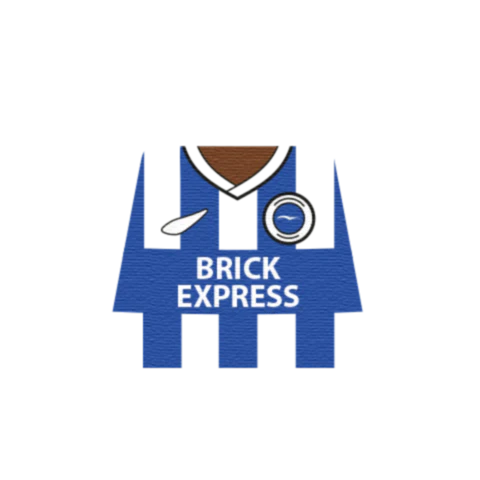 Personalised Brighton Shirt - Custom Design Minifigure Torso - Image 7