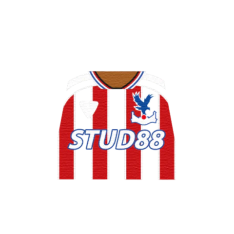 Personalised Crystal Palace Shirt - Custom Design Minifigure Torso - Image 6