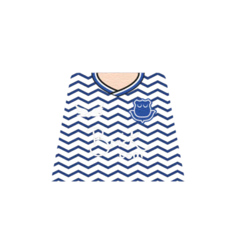 Personalised Everton Shirt - Custom Design Minifigure Torso - Image 4