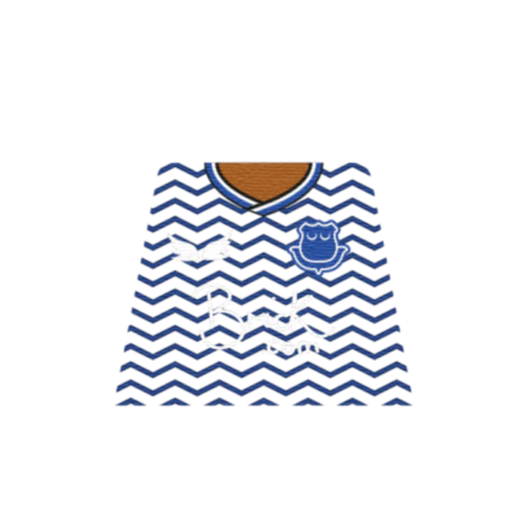 Personalised Everton Shirt - Custom Design Minifigure Torso - Image 6