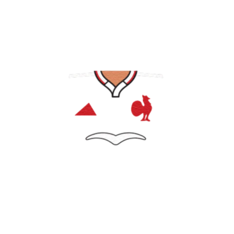 Personalised France Rugby Shirt - Custom Design Minifigure Torso - Image 4