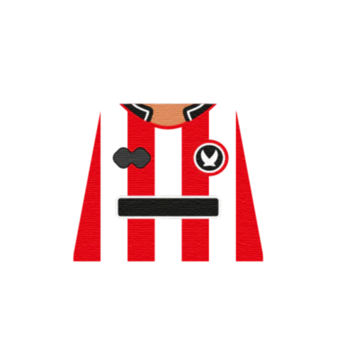 Personalised Sheffield United Shirt - Custom Design Minifigure Torso - Image 5