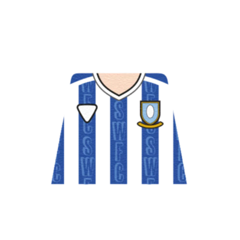 Personalised Sheffield Wednesday Shirt - Custom Design Minifigure Torso - Image 4