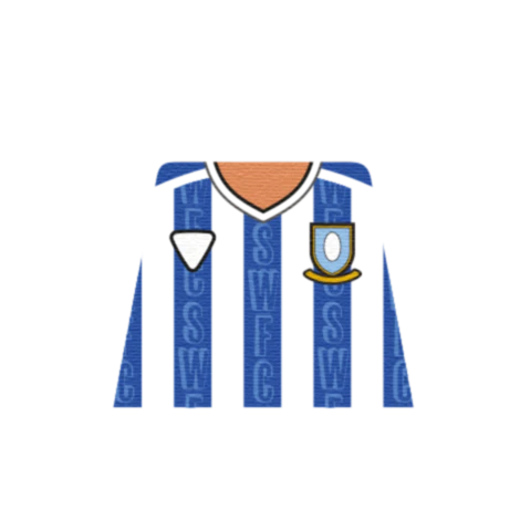 Personalised Sheffield Wednesday Shirt - Custom Design Minifigure Torso - Image 5