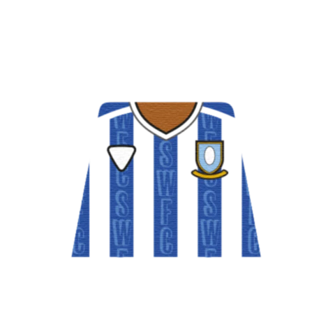 Personalised Sheffield Wednesday Shirt - Custom Design Minifigure Torso - Image 6