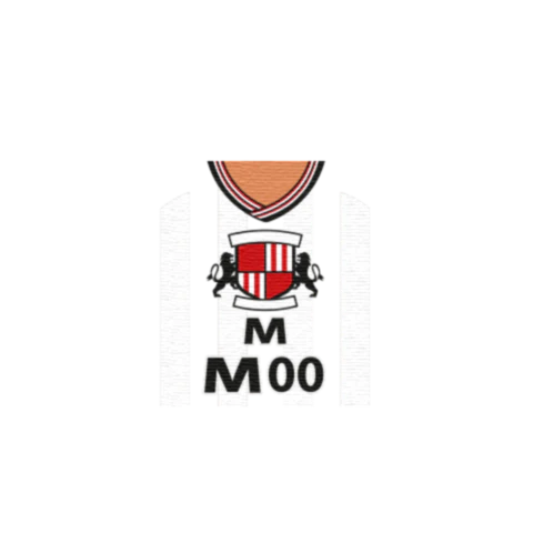 Personalised Sunderland Shirt - Custom Design Minifigure Torso - Image 5