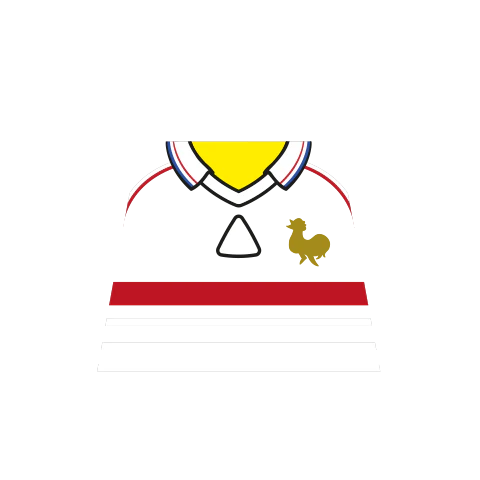 Retro France 1998 World Cup Shirt - Custom Design Minifigure Torso - Image 2